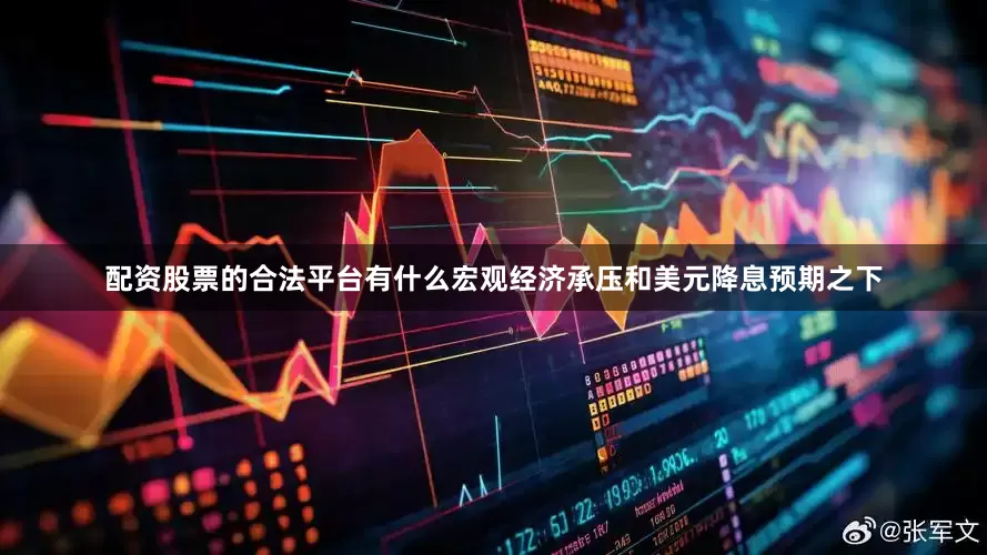 配资股票的合法平台有什么宏观经济承压和美元降息预期之下