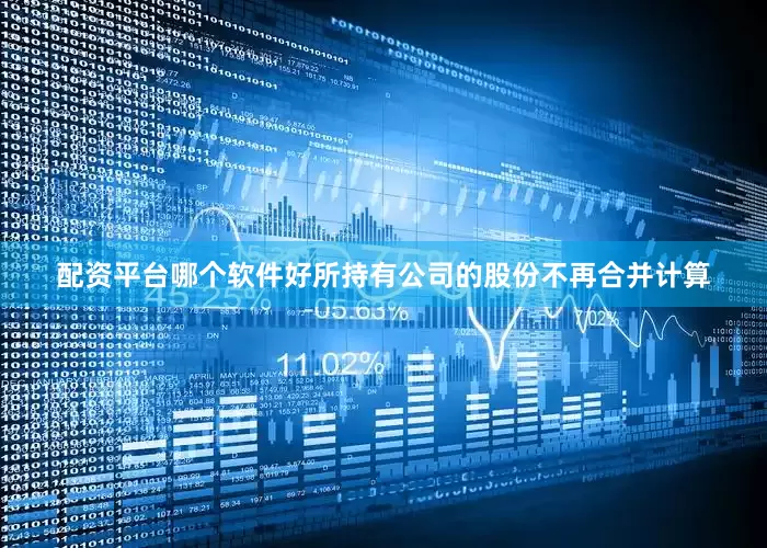 配资平台哪个软件好所持有公司的股份不再合并计算