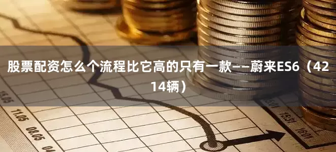 股票配资怎么个流程比它高的只有一款——蔚来ES6（4214辆）